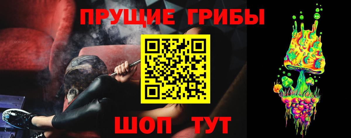 Галлюциногенные грибы Psilocybine cubensis  Вход с VPN  Дальнегорск 